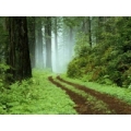 Introduction To Meditation (Sat 13th July) Introduction To Meditation (Sat 13th July)